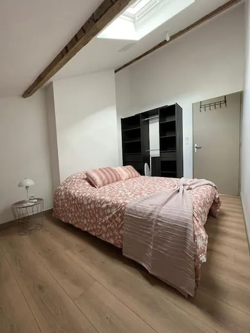 App T2 Bis Proche De La Gare 500 Apartment Saint-Etienne  France